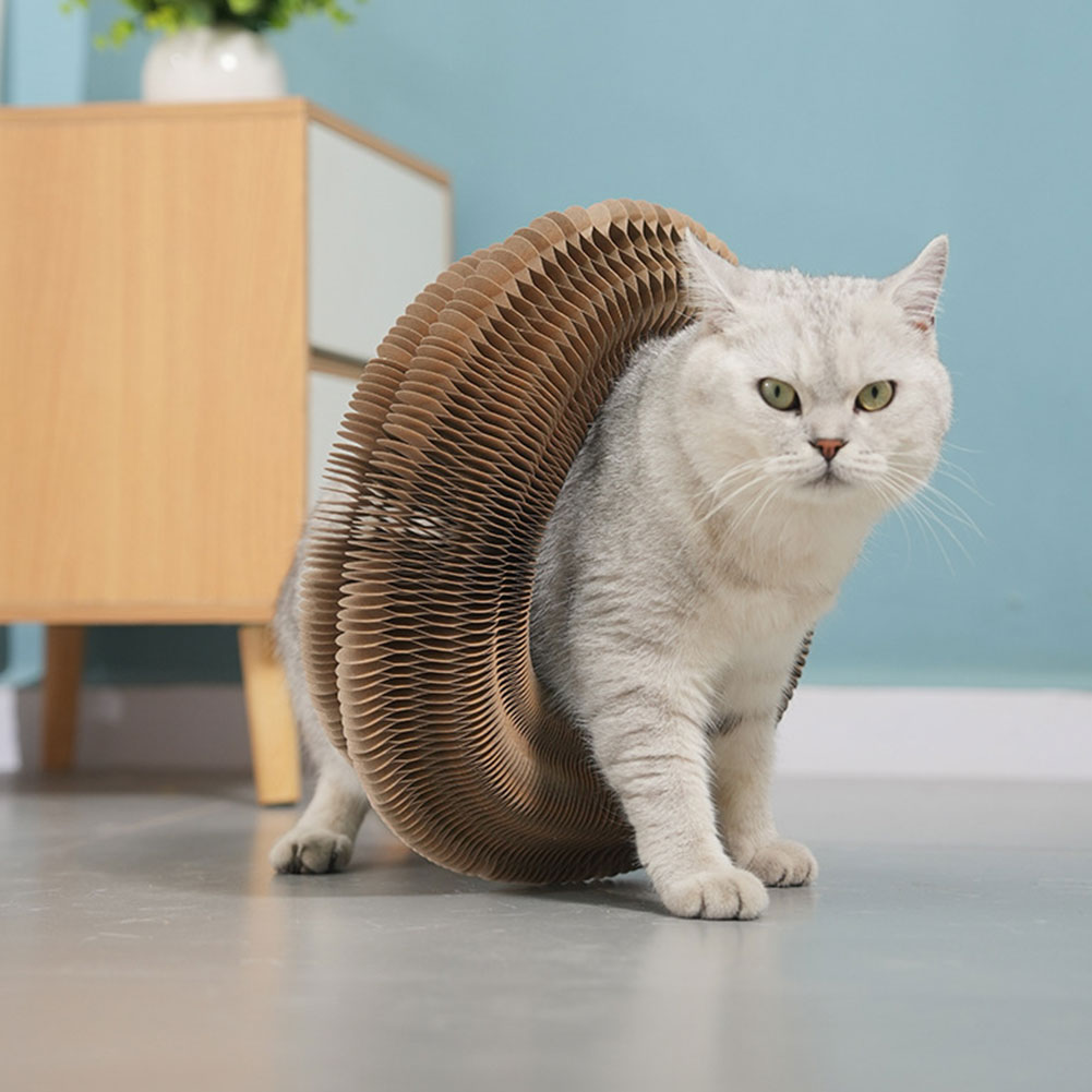 Magic Organ Cat Toy Cat Scratching Board Round Corrugated Scratching Post Toy Cats Grinding Claw Cats Interactive Toy Pet Supply