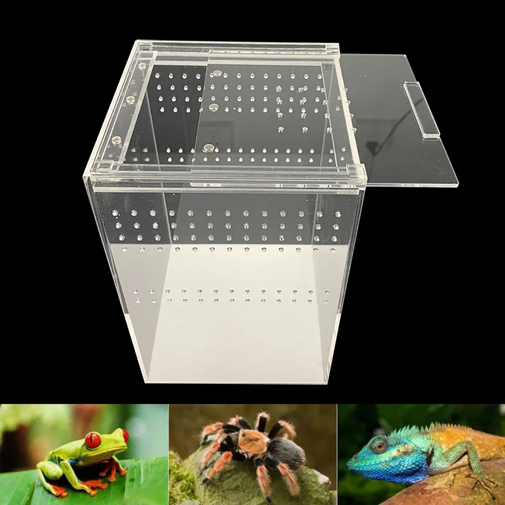 Acrylic Reptile Breeding Box Spider Lizard Amphibian Transparent Breeding Box Leakproof Pet Habitat Arboreal Wolf Spider Fence