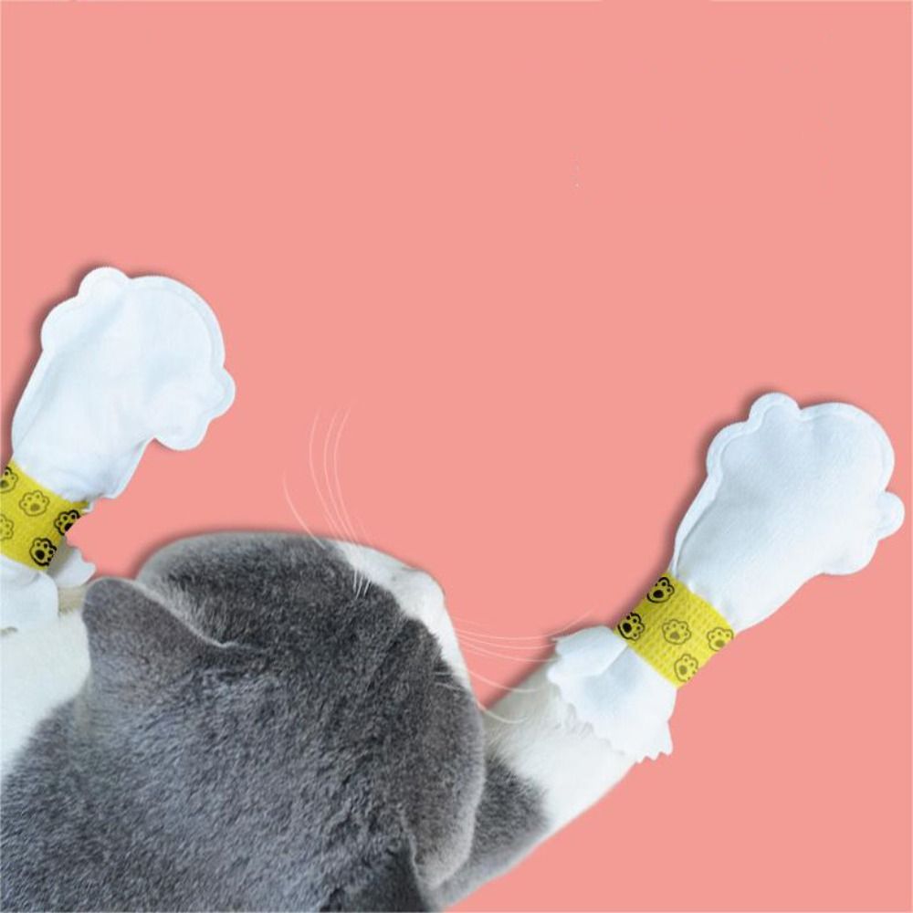 8pcs Pet Supplies Non-woven Fabric Pet Shoes White Protective Dog Boots Dog Foot Cover For Outdoor Activities of Pets