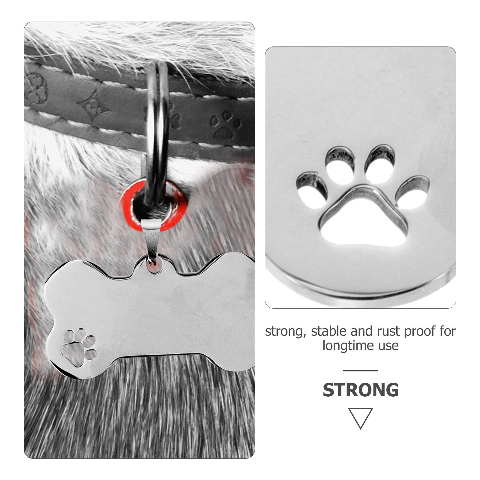 10 Pcs Dog Tag Label Engraved for Pets Name Tags Personalized Id Small