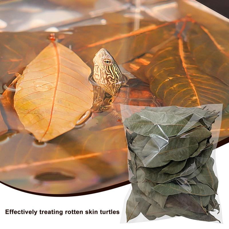 50 pieces Turtle Longan Leaf Betta Fish Toys Aquarium Leaf Longan Leaves Create Realistic Habitat Improve Water Quality Aquarium