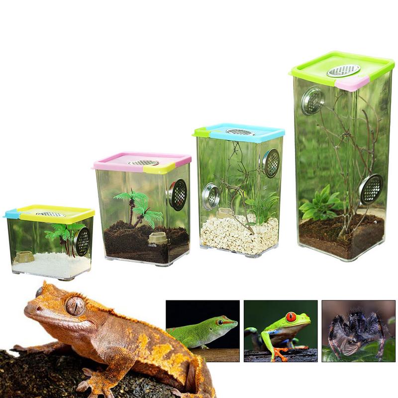 Reptile Breeding Box Clear Acrylic Terrarium Feeding Box With Stainless Steel Ventilation Nets For Spider Scorpion Snail Reptile