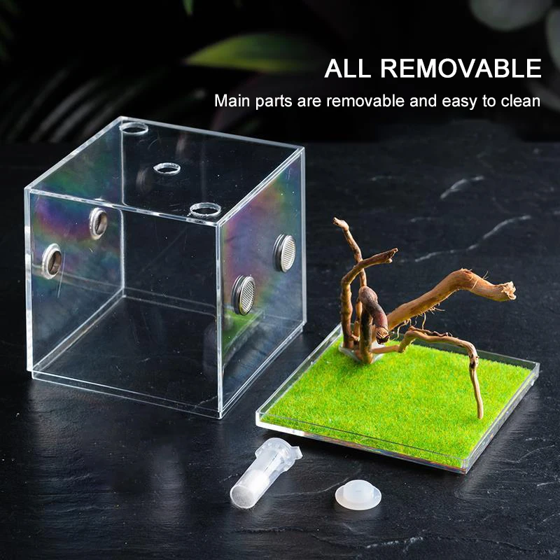 Transparent Acrylic Small Reptiles Pet Breeding Box Habitat Insect Feeding Terrarium Tank Cage Insect Jumping Spider Feed Boxs