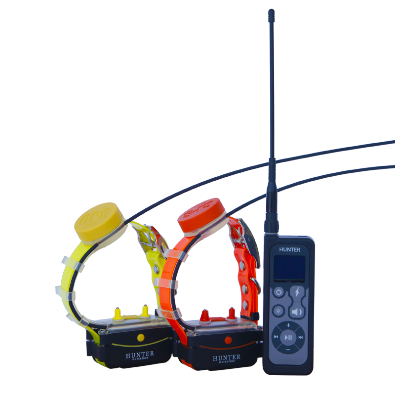 GPS DTR 25002 PRO 2 DOG COLLARS TRACKER AND TRAINER FOR HUNTING