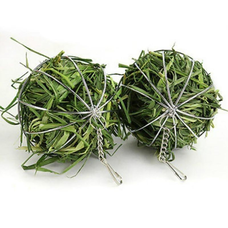 Rabbit Grass Feeder Ball - Stainless Steel Holder for Small Pets - Easy Feeding Tool for Healthy Digestion