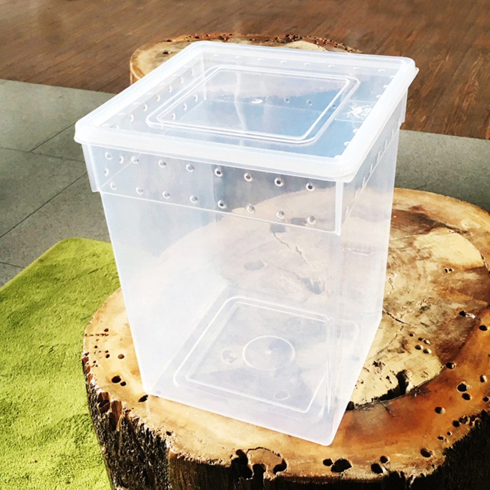 Reptile Terrarium Aquarium Breeding Tank,Tarantula Enclosure Feeding Box Insect Habitat for Snake Lizard Hermit Crab Insect