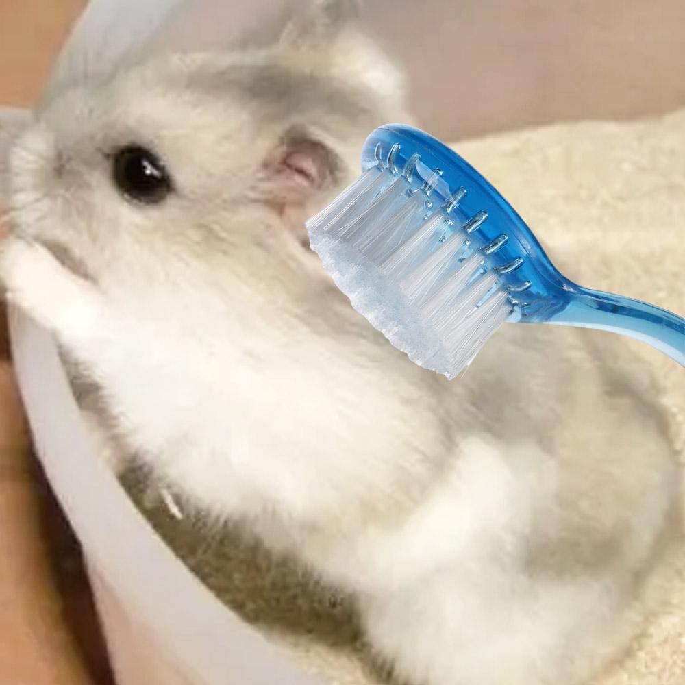 Animal Grooming Brush Soft Cleaning Tools Guinea Pig for Hedgehog Massage Small Bathing Hamster 1pc Combs