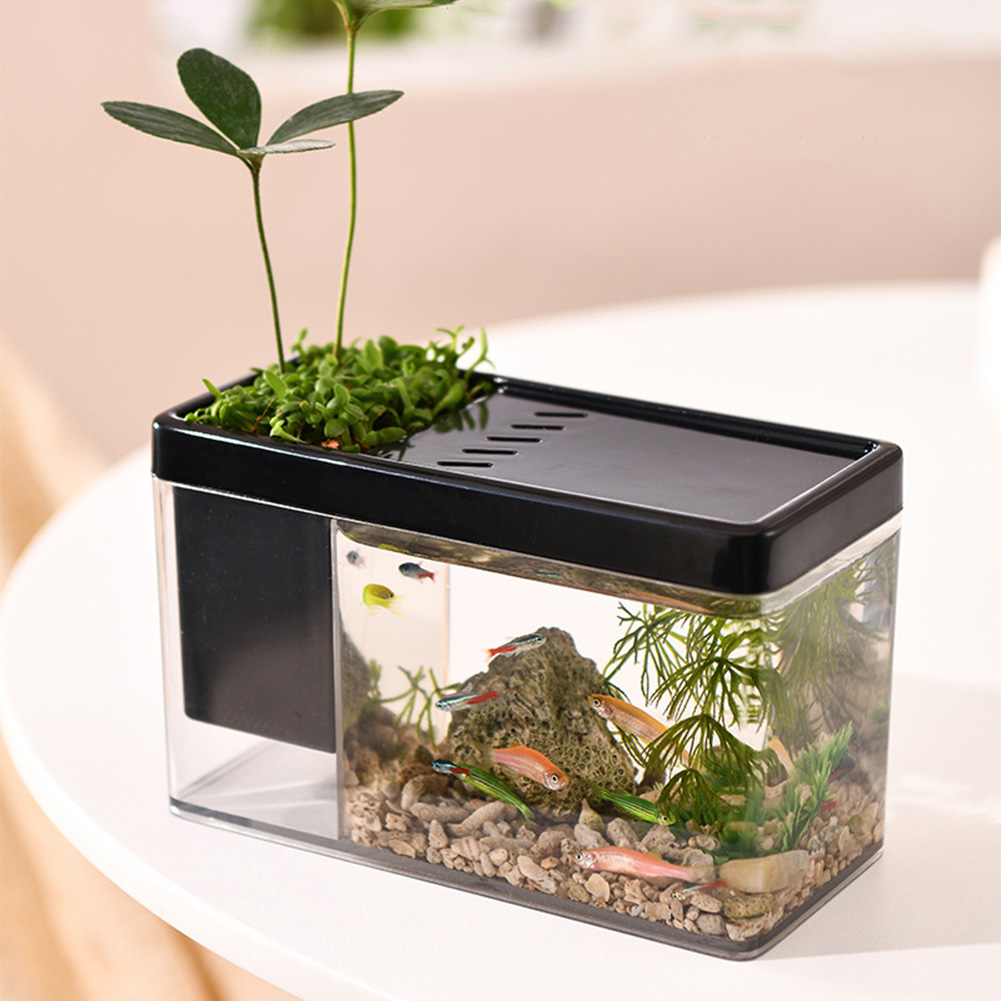 Betta Fish Tank Desktop Small Fish Tank With Top Breathable Hole Design Smooth Edges Large Opening Aquarium Starter Kits