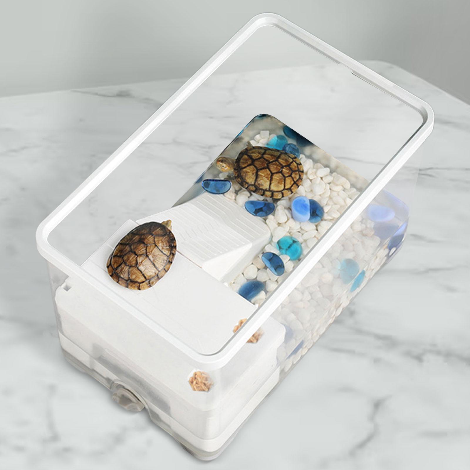 Turtle Tank Aquarium Feeding Box Full View Visually Bottom Drainage Resting Multifunctional Area Turtle Terrarium Pets Accessory