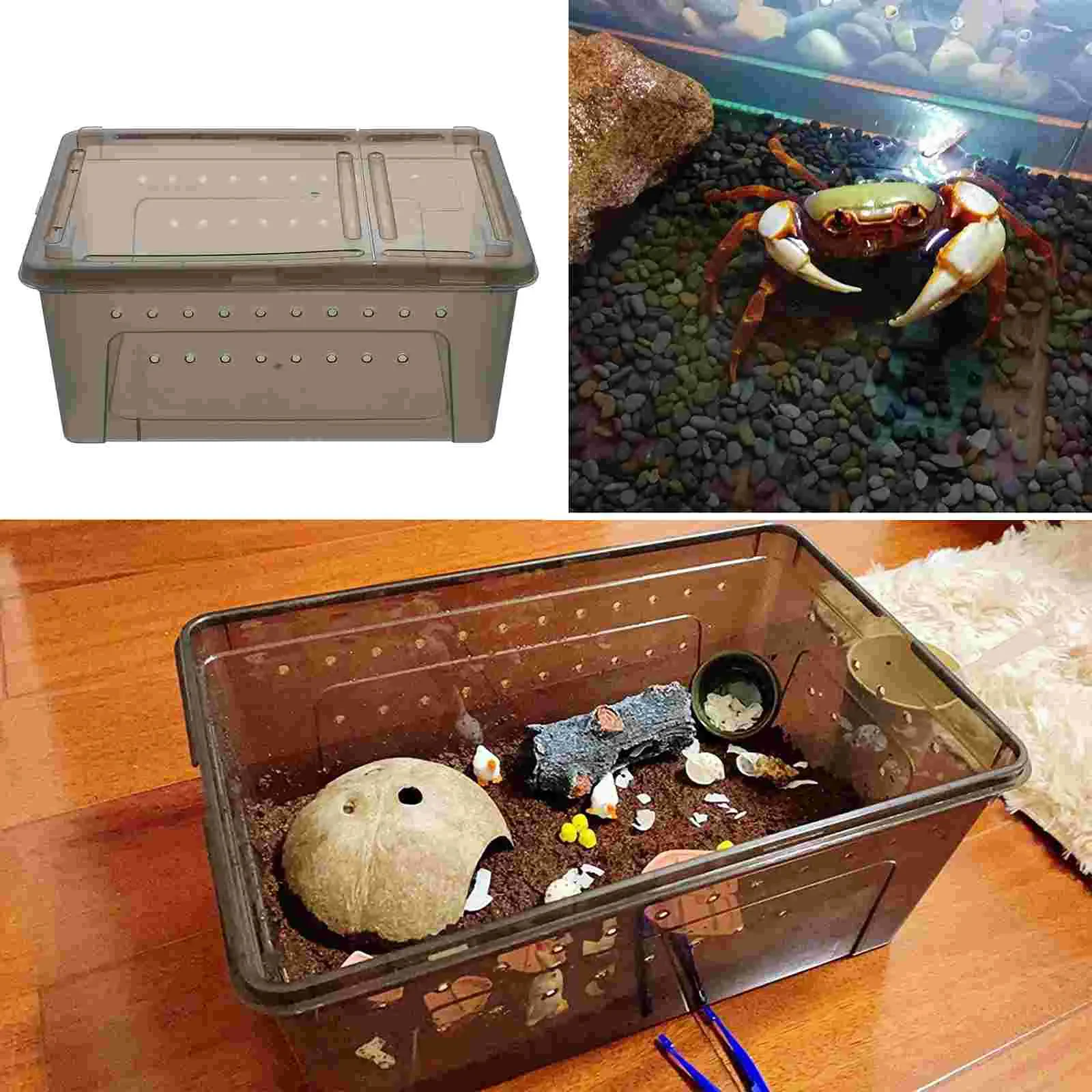 Reptile Feeding Box Aquarium Tub Water Turtle Fish Tank Terrarium Reptisoil Animal Supply Crawl Scorpion