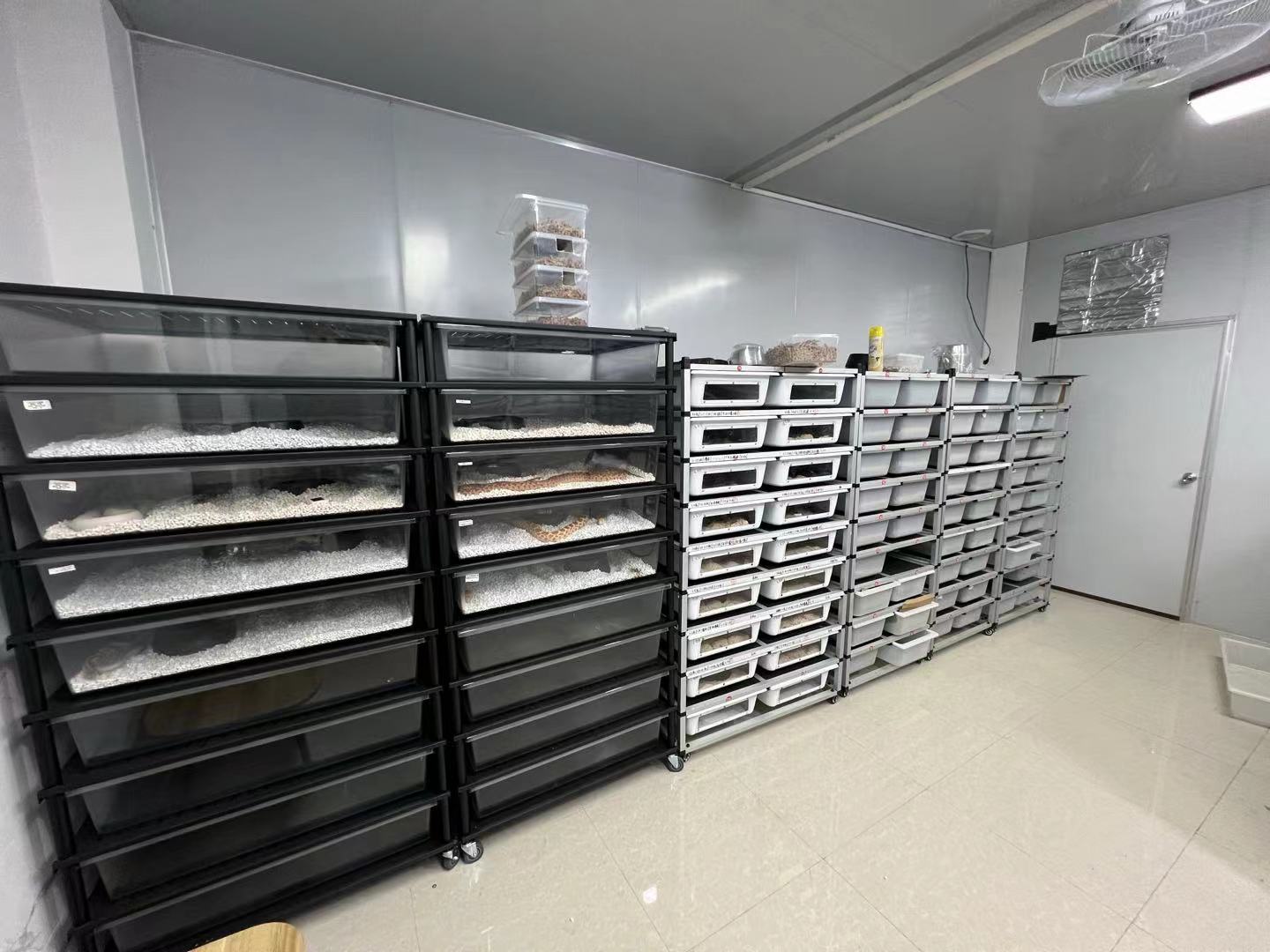 Pvc Pet Cages Reptile Terrarium Tanks Feeding Box Snake Rack System
