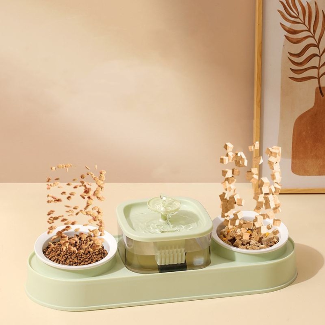 Cat Food Bowls and Water Feeder with Automatic Water Dispenser Double Dog Cat Bowls Detachable Pet Feeder