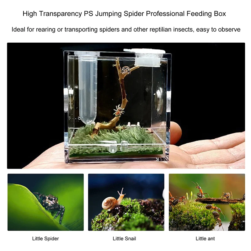 Transparent Acrylic Small Reptiles Pet Breeding Box Habitat Insect Feeding Terrarium Tank Cage Insect Jumping Spider Feed Boxs