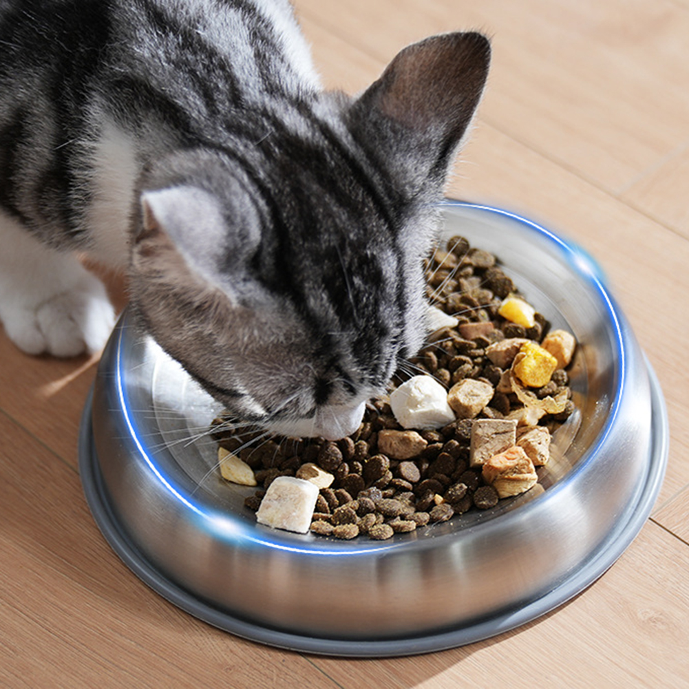 Dog Bowl Stainless Steel Dog Food Water Bowl With Anti-slip Silicone Mat Anti Overthrow Pet Grain Basin For Dogs Cat Puppy