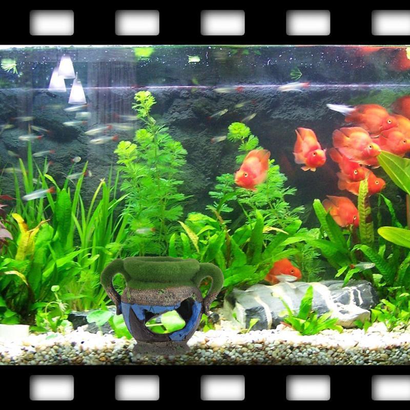 1pc Resin Vase with Moss Aquarium Decoration Accessories for Fish Shrimp Tank Landscape Ornaments