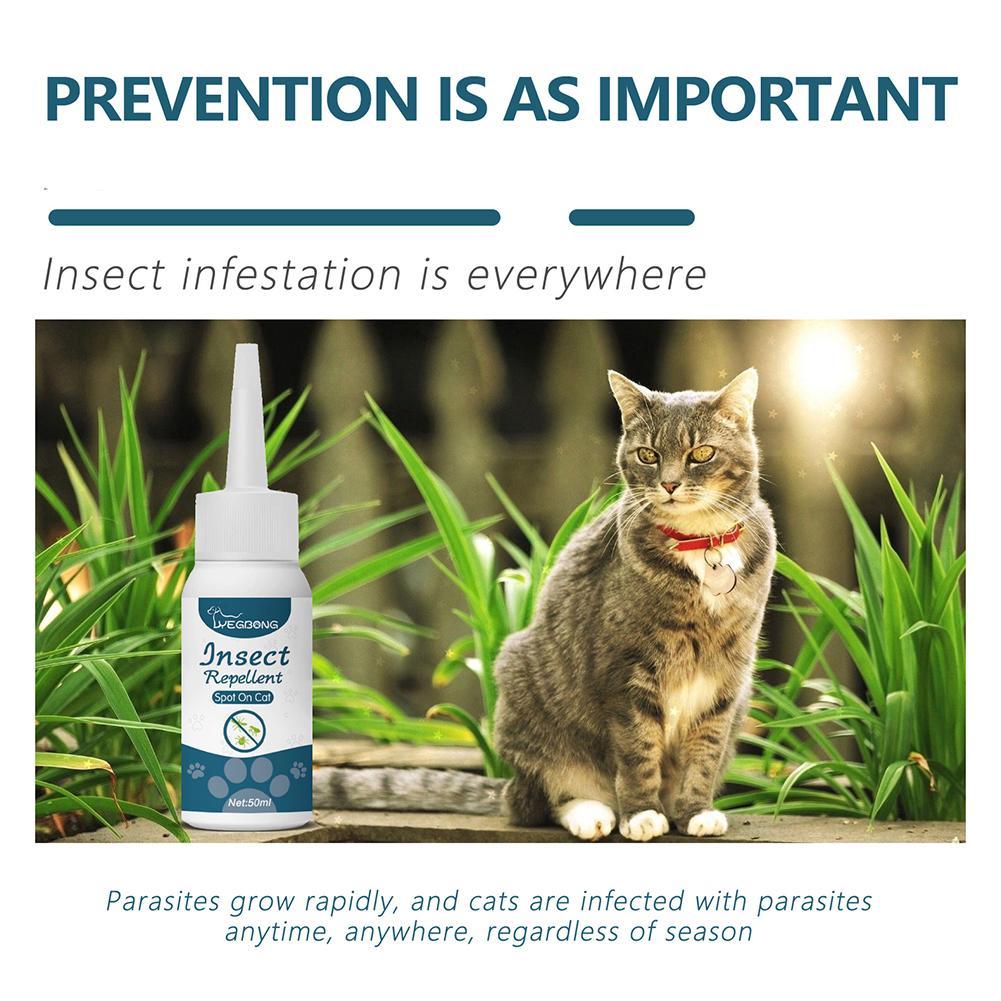Flea Killer Drops Anti Fleas Cats Ticks Lice Mite Removal Relieve Itching Dogs Ringworm Treatment Pet Removal Drops