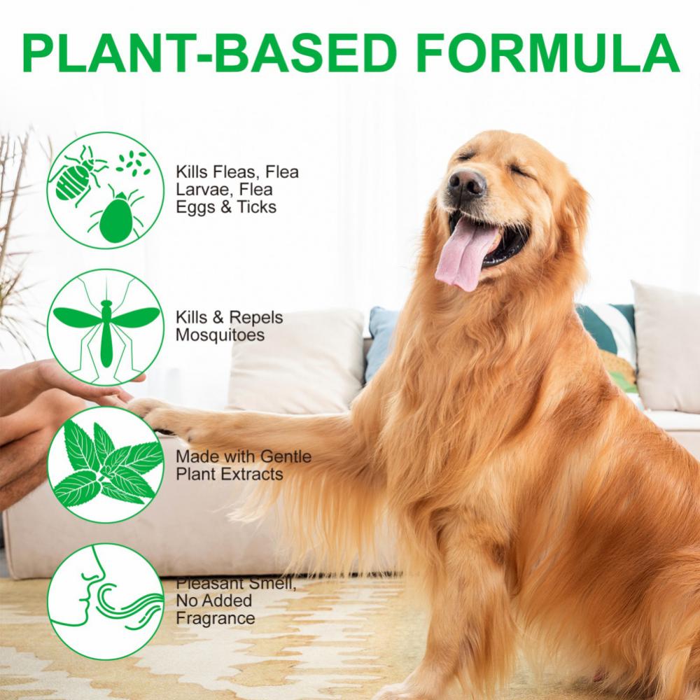 1~10PCS Pet Insect Repellent Insect and Mosquito Repellent Spray In Vitro Tick and Flea Lice Spray Pet Cleaning Products