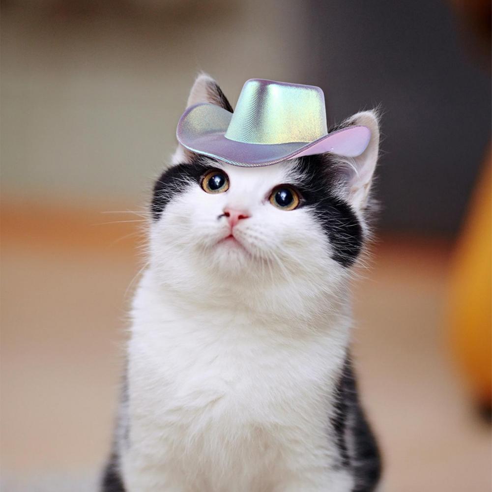 Pet Party Costume Pet Cowboy Hat Dog Cap Fun Outdoor Accessories for Small Dogs Cats for Cosplay Beach Parties Christmas Street