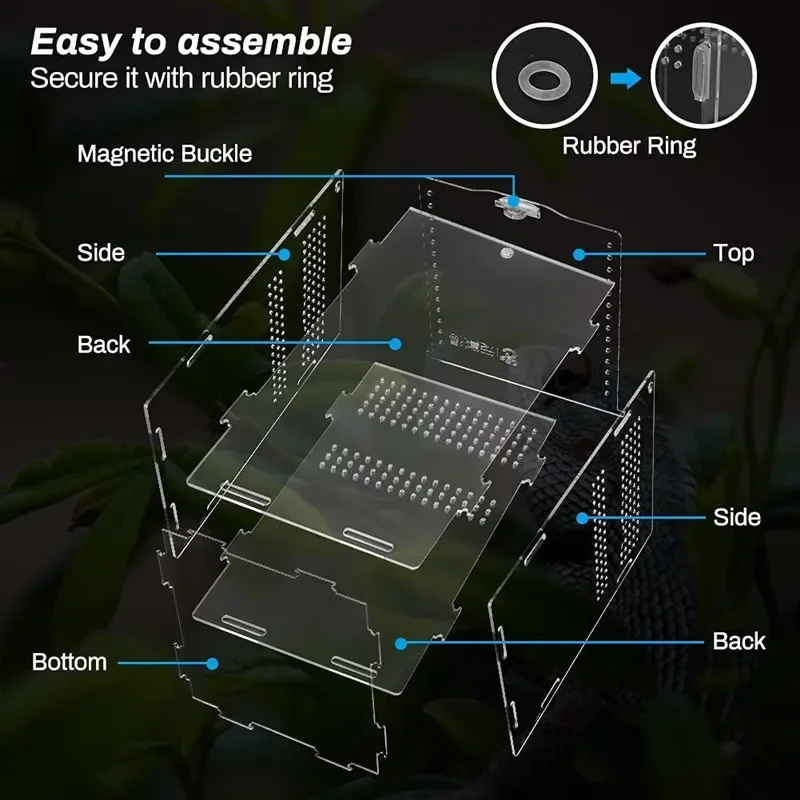 Reptile Acrylic Transparent Habitat Breeding Box Nano Arboreal Tarantula Enclosure Bearded Dragon Spider Sling Isopods Case