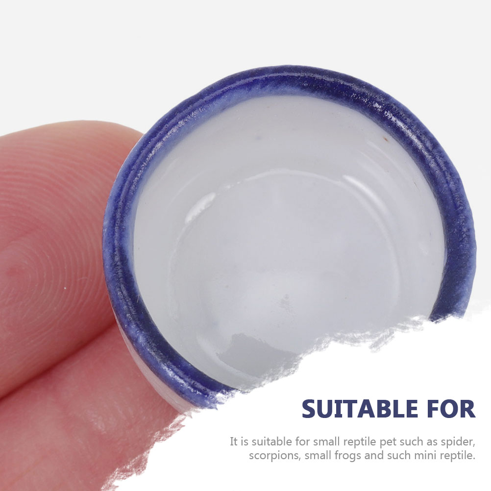 24 Pcs Reptile Water Dish Terrarium Bowl Mini Food Crawler Feeding Sink Lizard Lizard Lizard Pet Water Bowl Drinking Container