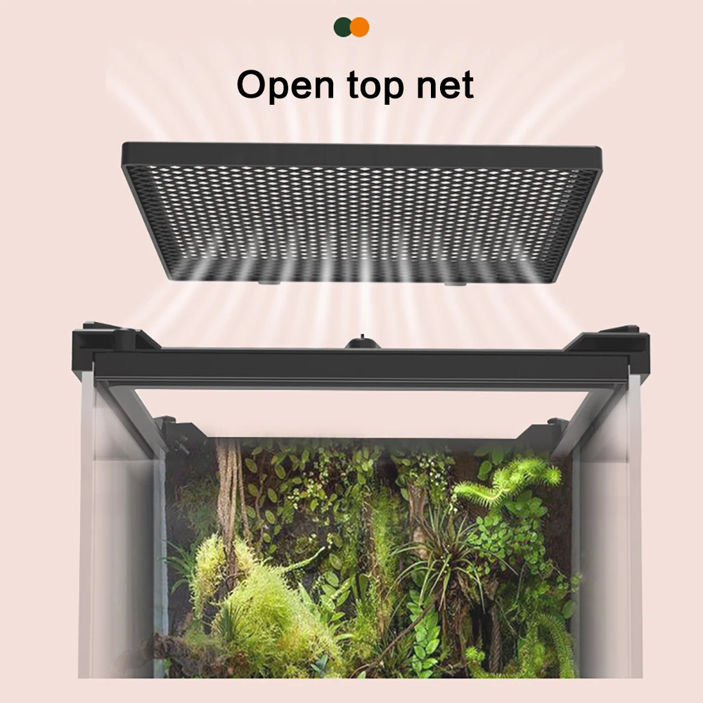 Amphibious Climbing Pet Breeding Box Ecological Landscape Tempered Glass Single Door Rainforest Tank Lizard Turtle Breeding Box