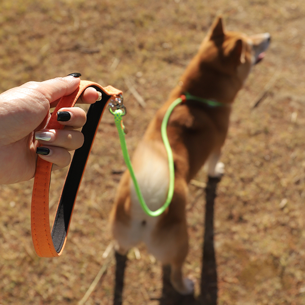 Dog Leash Dog Training Leash No-Pull Slip Leash Outdoor Walking Training Leash For Small Medium Large Dogs