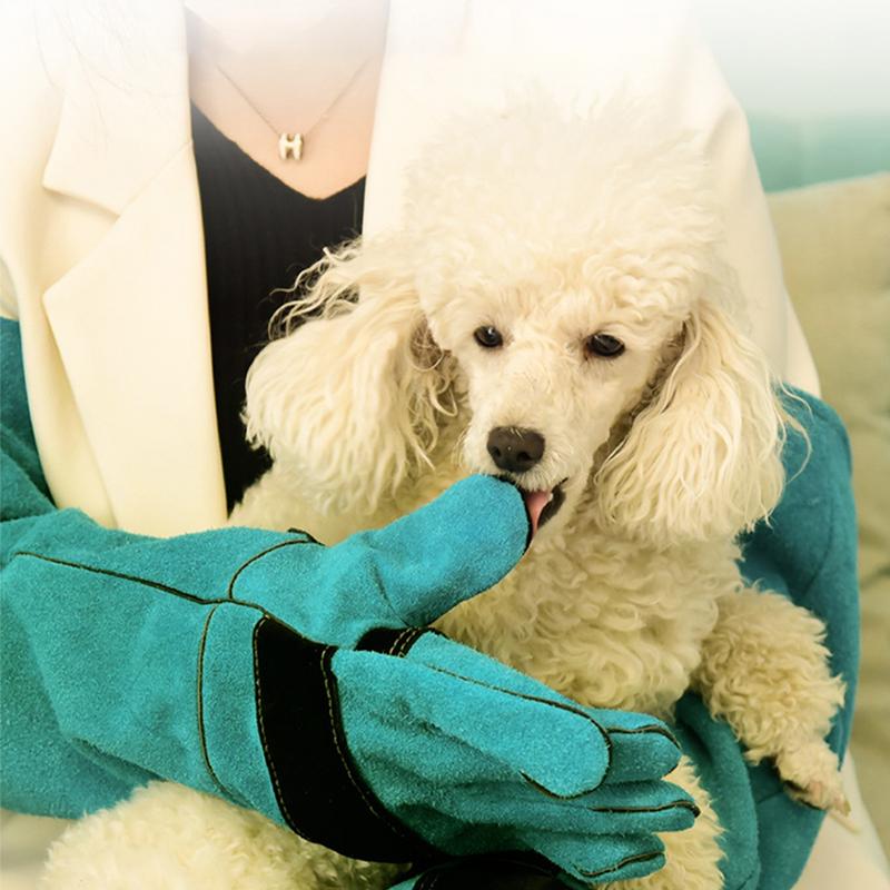 Durable Animal Handling Gloves Anti-Bite Anti-thorn Gloves Bite Proof Animal Gloves For Cat Dog Bird Falcon Livestock Snake