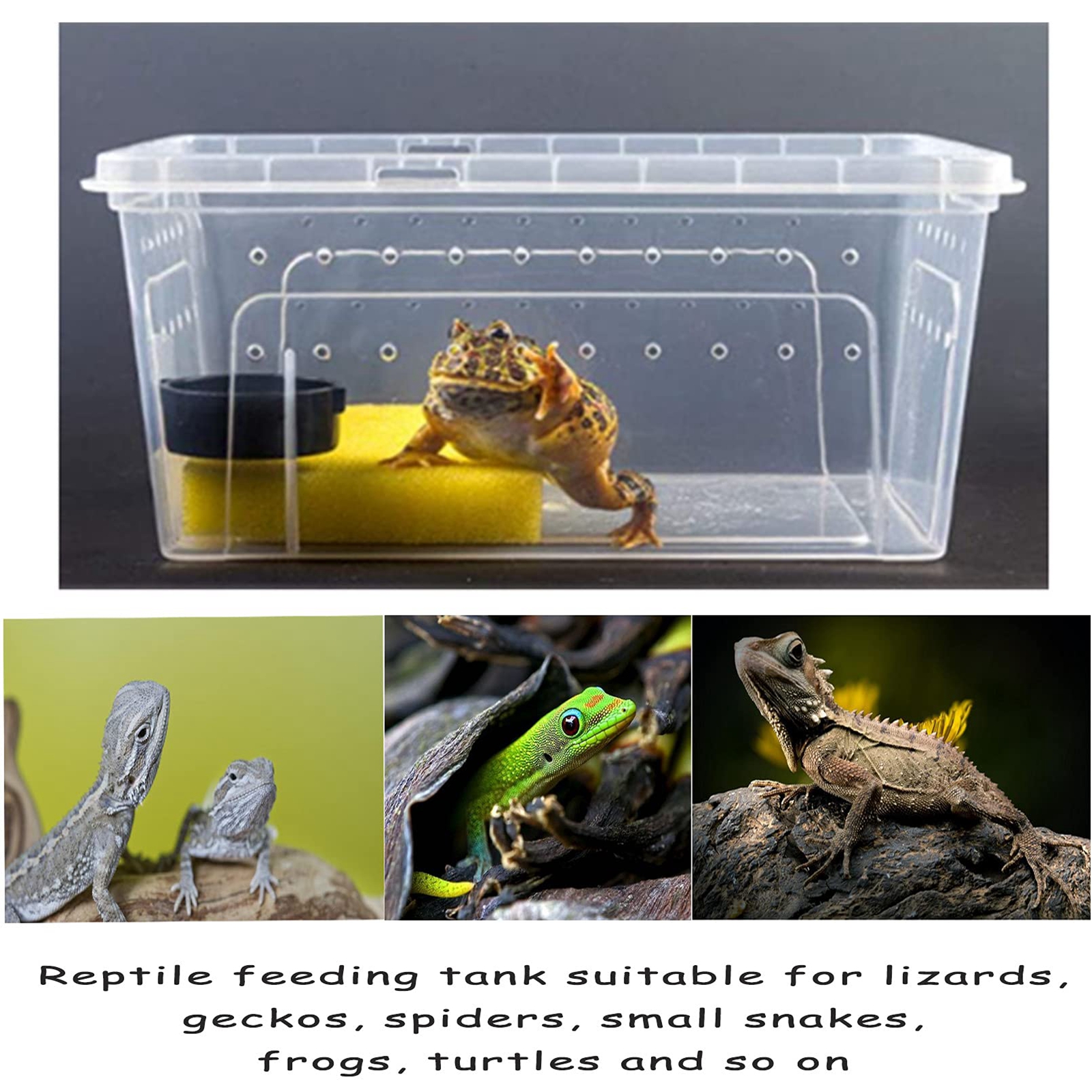 Reptile Breeding Box Reptile Terrarium Transparent Transparent Animal Habitat Cage for Snake Gecko Silkworm Reptile