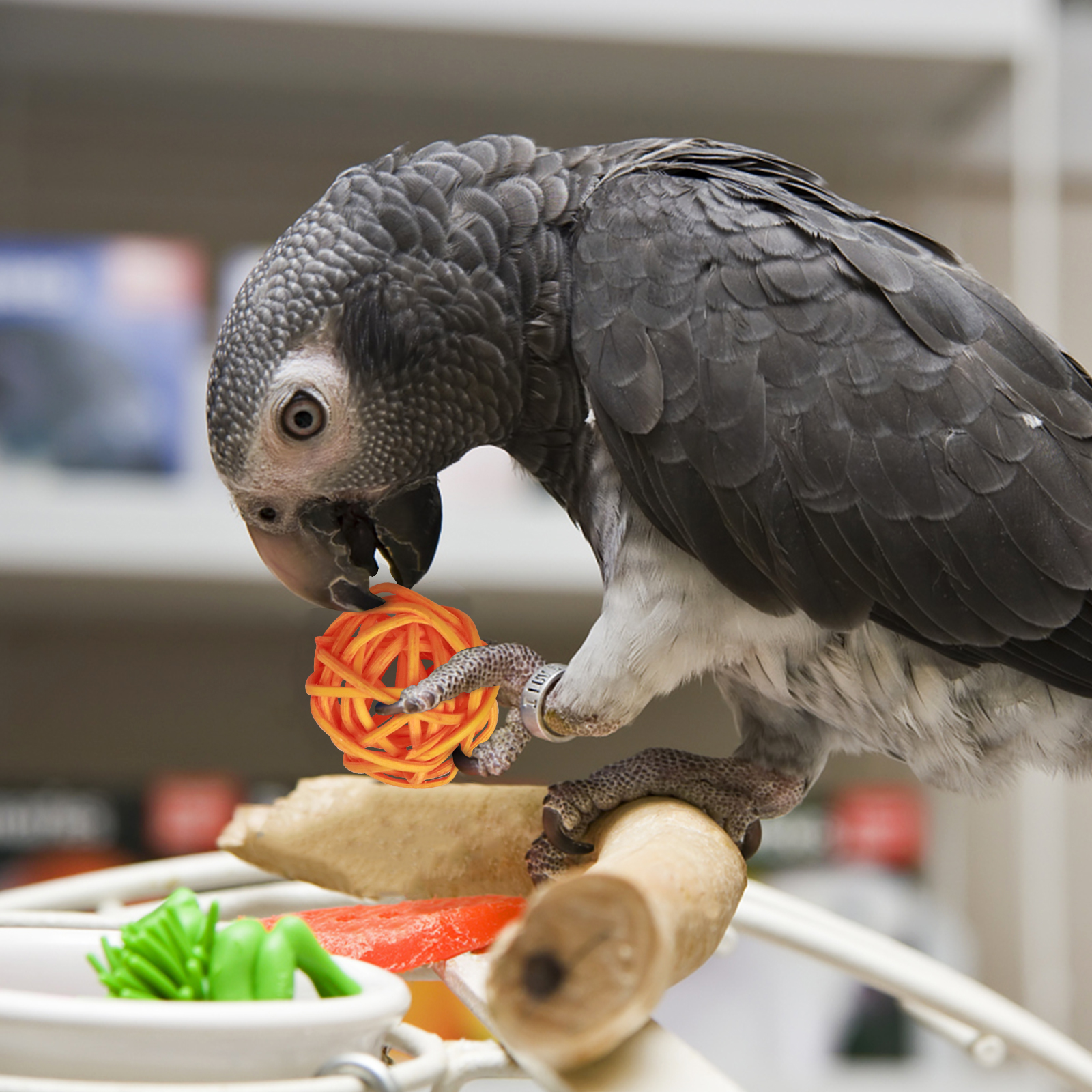 Parakeet Cage Accessories Parrot Takraw Ball Toy Rattan Balls Bird The Small Baby