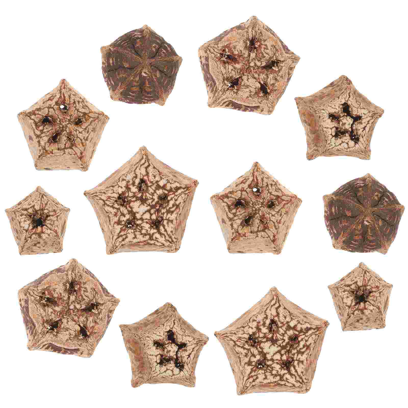 12 Pcs Bite Parrot Chewing Fruit Parakeet Cage Accessories Bird Dried Fruits Toys for Parrots