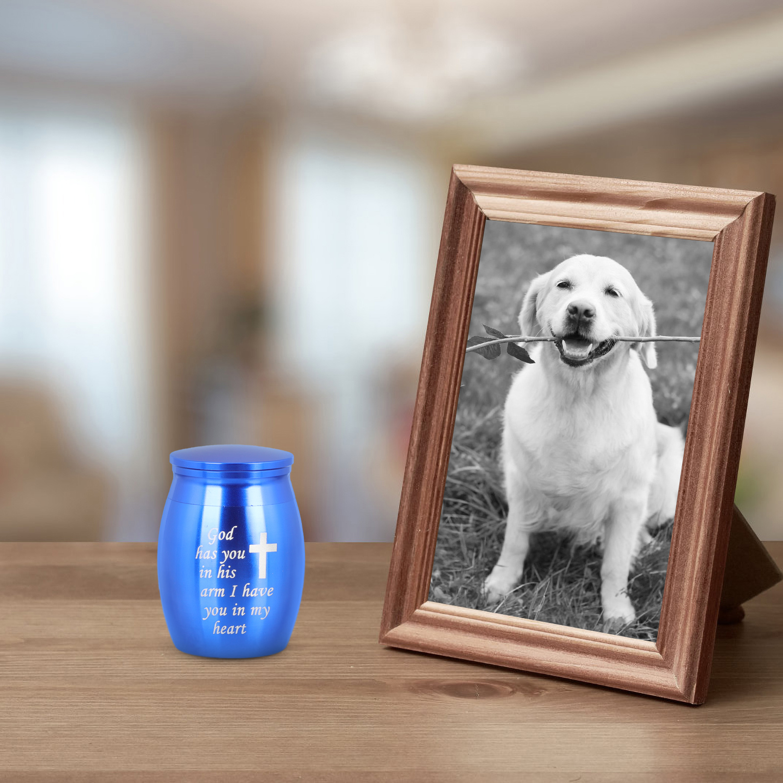 Urn Adult Dog Urns for Ashes Containers Small Cremation Burial Decorative Keepsake