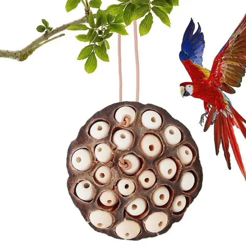 Lotus Pod-shaped Bird Parrot Anti Biting Natural Chew And Foraging Toy For Parakeet Cockatiel Entertainment Pet Supplies