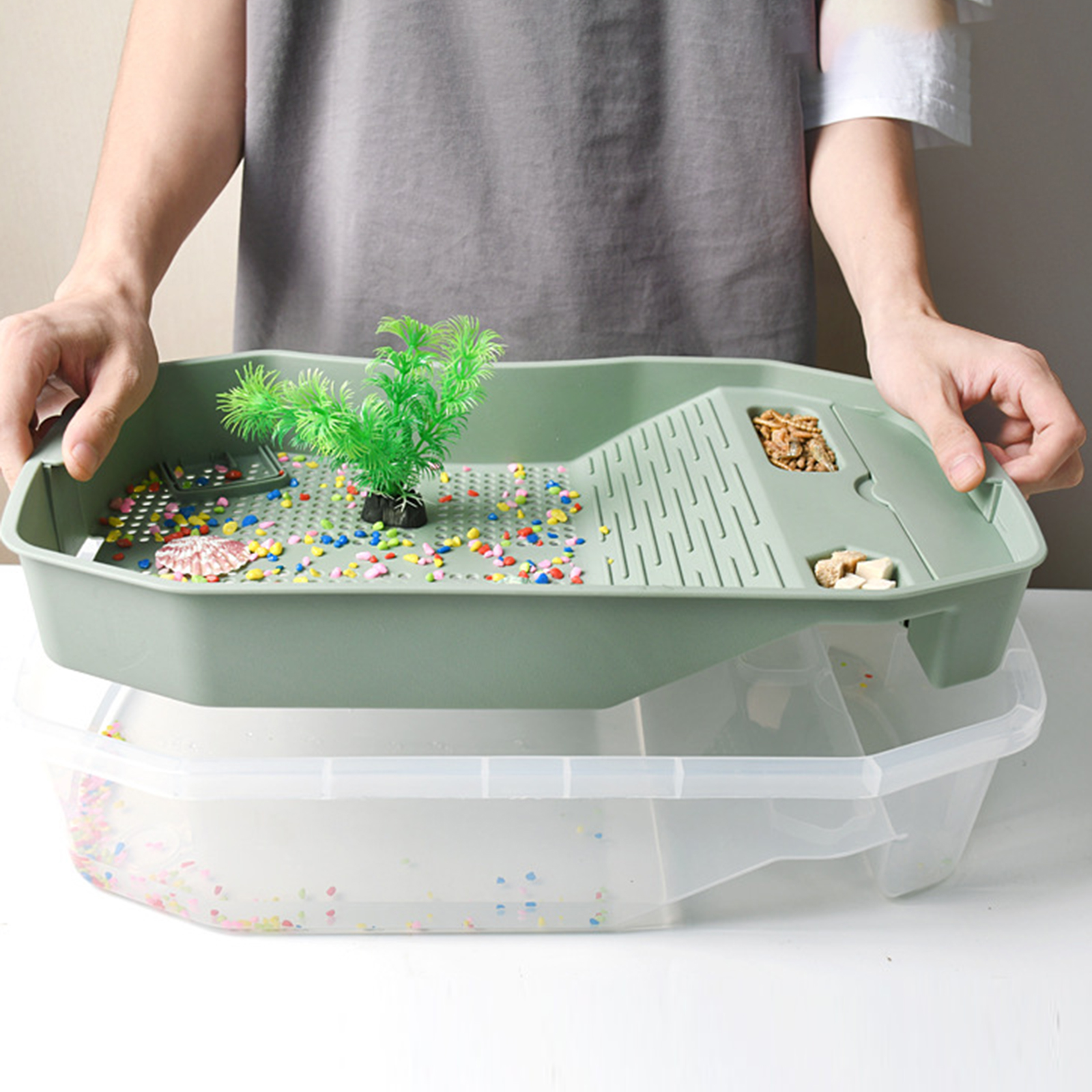 Turtle Tank Aquarium Reptile Habitat for Pet Turtle terrapin tortoises Hatching Hermit Crab Resting Small Amphibious Creatures