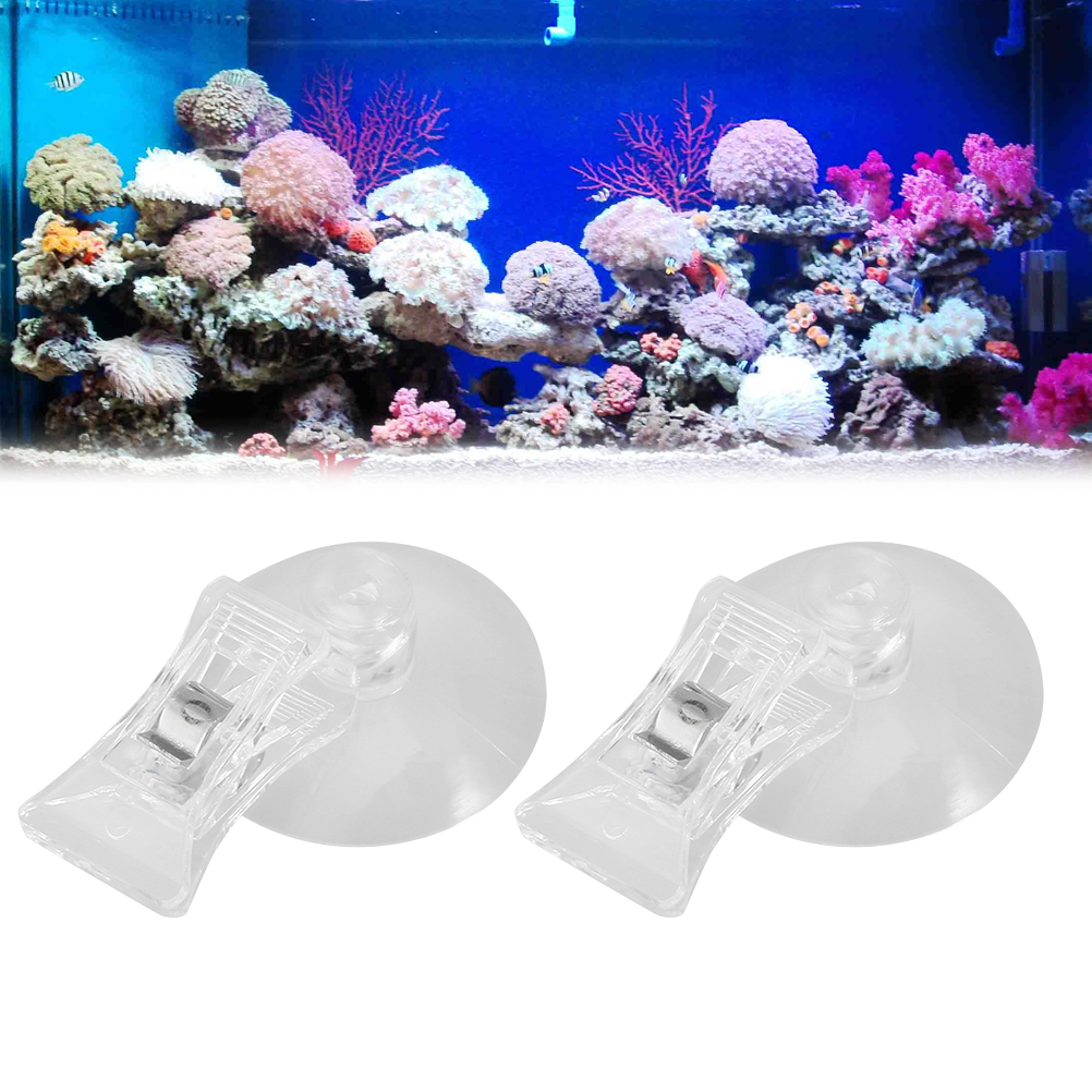 3 Pcs Feeder Clip Hummingbird Food Fish Tank Accessories Seaweed Suction Cup Air Pump