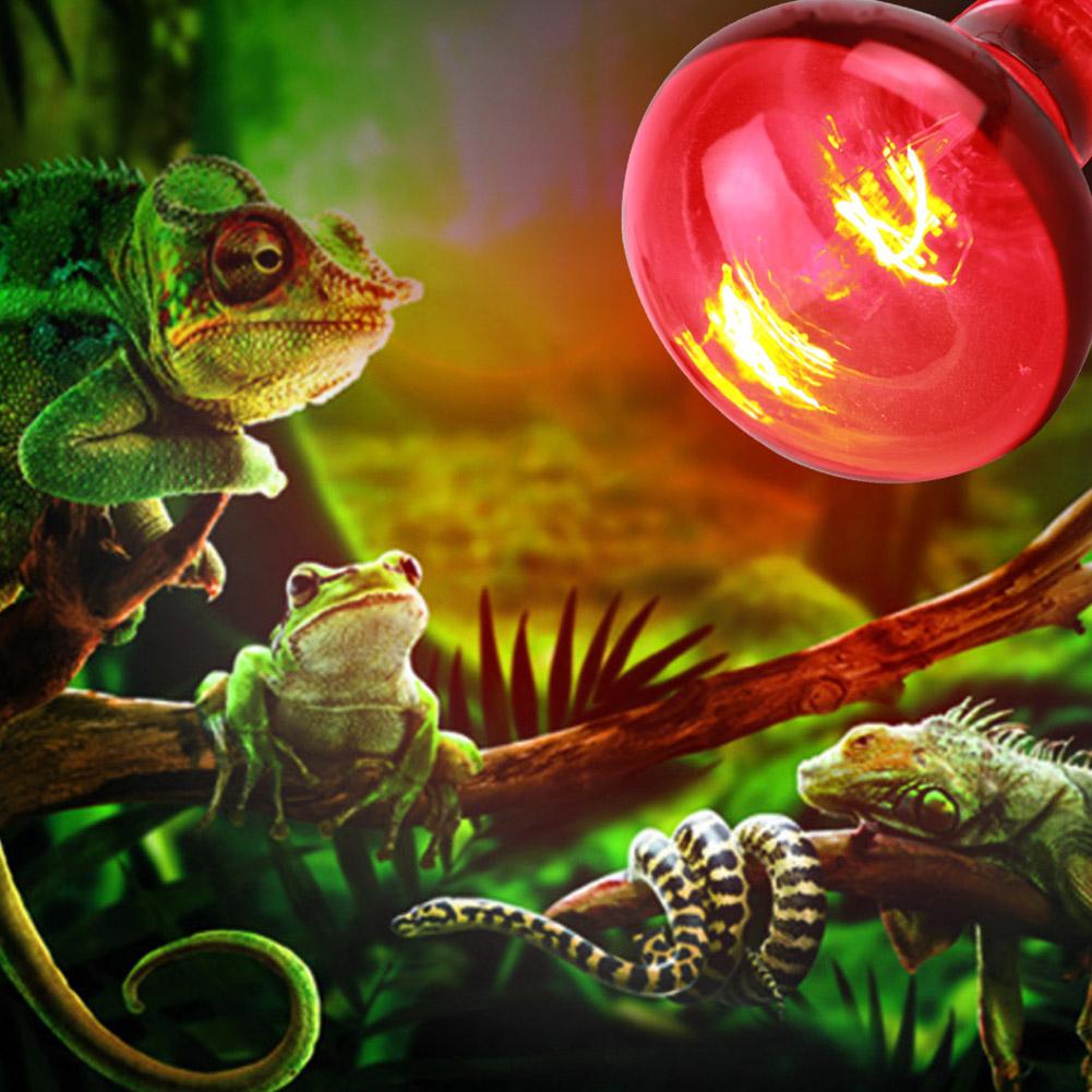 25W 40W 50W 60W 75W 100W E27 Poultry Heating Bulb Infrared Insulation Heating For Reptiles Plants Amphibians Pets Livestock Lamp