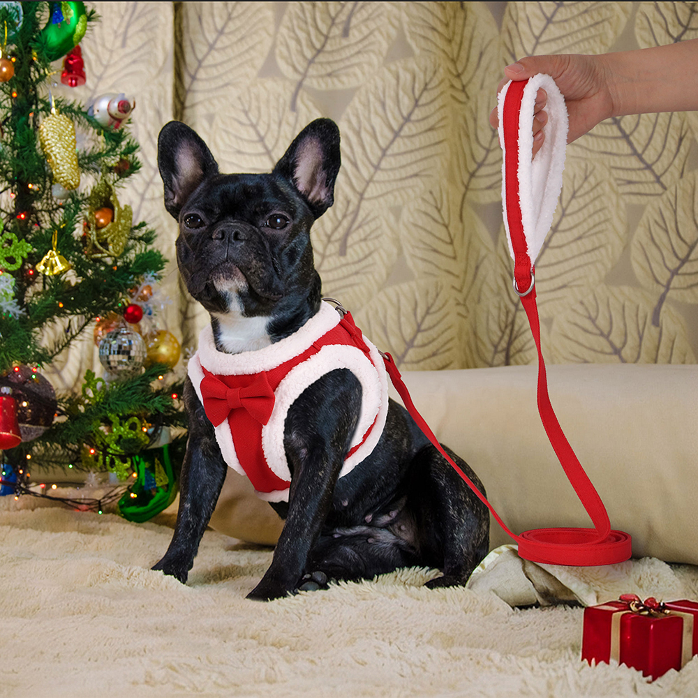 Winter Warm Dog Harness Leash Set Soft Fleece Pet Harness Vest With Cute Bowtie for Small Medium Dogs Chihuahua Walking Belt