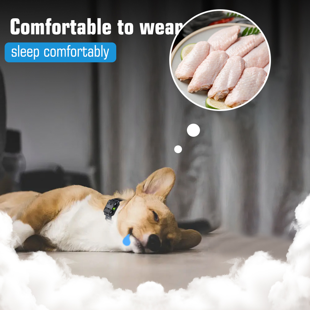 Dog Shock Collar for 2 Dogs - Waterproof Rechargeable Electric Dog Training Collar with Remote for Small Medium Large Dogs