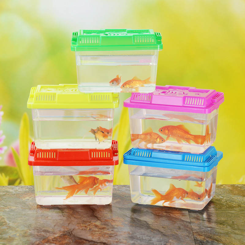 Small and Medium Portable Plastic Fish Tank Turtle Jar Transparent Pet Box Crawler Feeding Box Transport Box