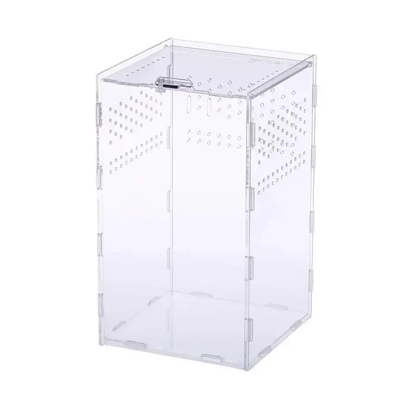 Reptile Feeding Box Acrylic Display Receptacle 95% High Light Transmission Tarantula Enclosure Scorpion Bearded Dragon Habitat