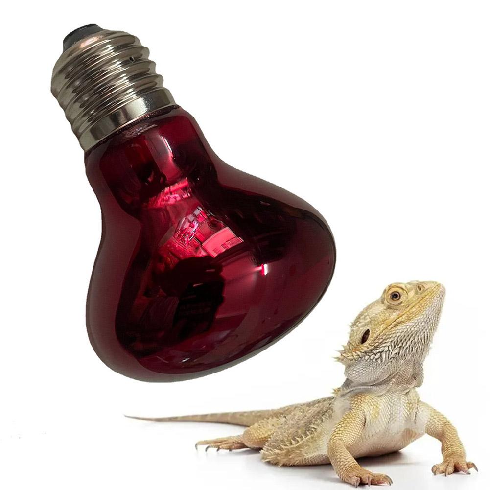 E27 Amphibian Snake Reptile Light Bulb Heat Night Light Day Poultry Heating Bulb 100W 75W 60W 50W 40W 25W