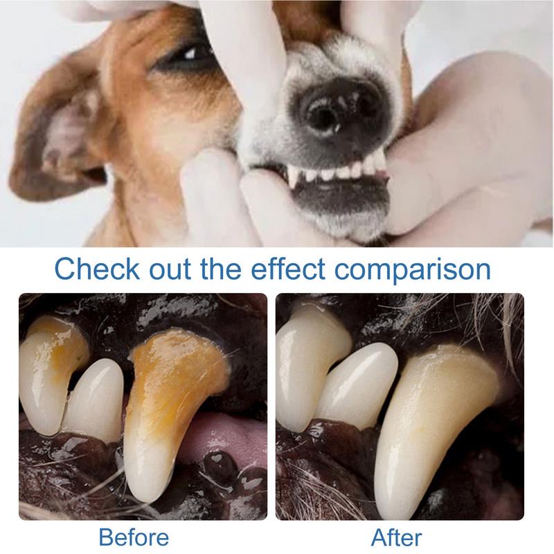 Pet Tartar Remover Natural Plaques Remover For Dogs Cats Freshen Breath Foam For Dogs Cats Support Healthy Gums Pet Care Product