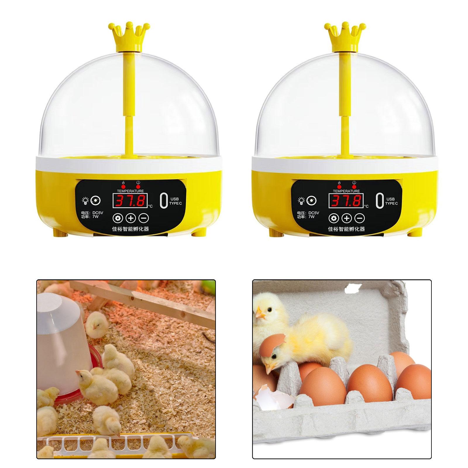 Egg Incubator Clear Top Cover Temperature Control Digital Poultry for Birds