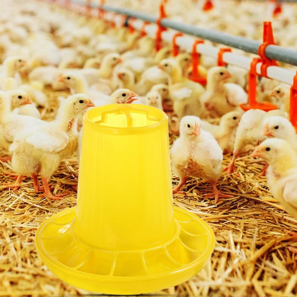 Convenient Chicken Feed Easy Use Anti-scratch Portable Fall Resistant Hen Feed Bucket for Garden