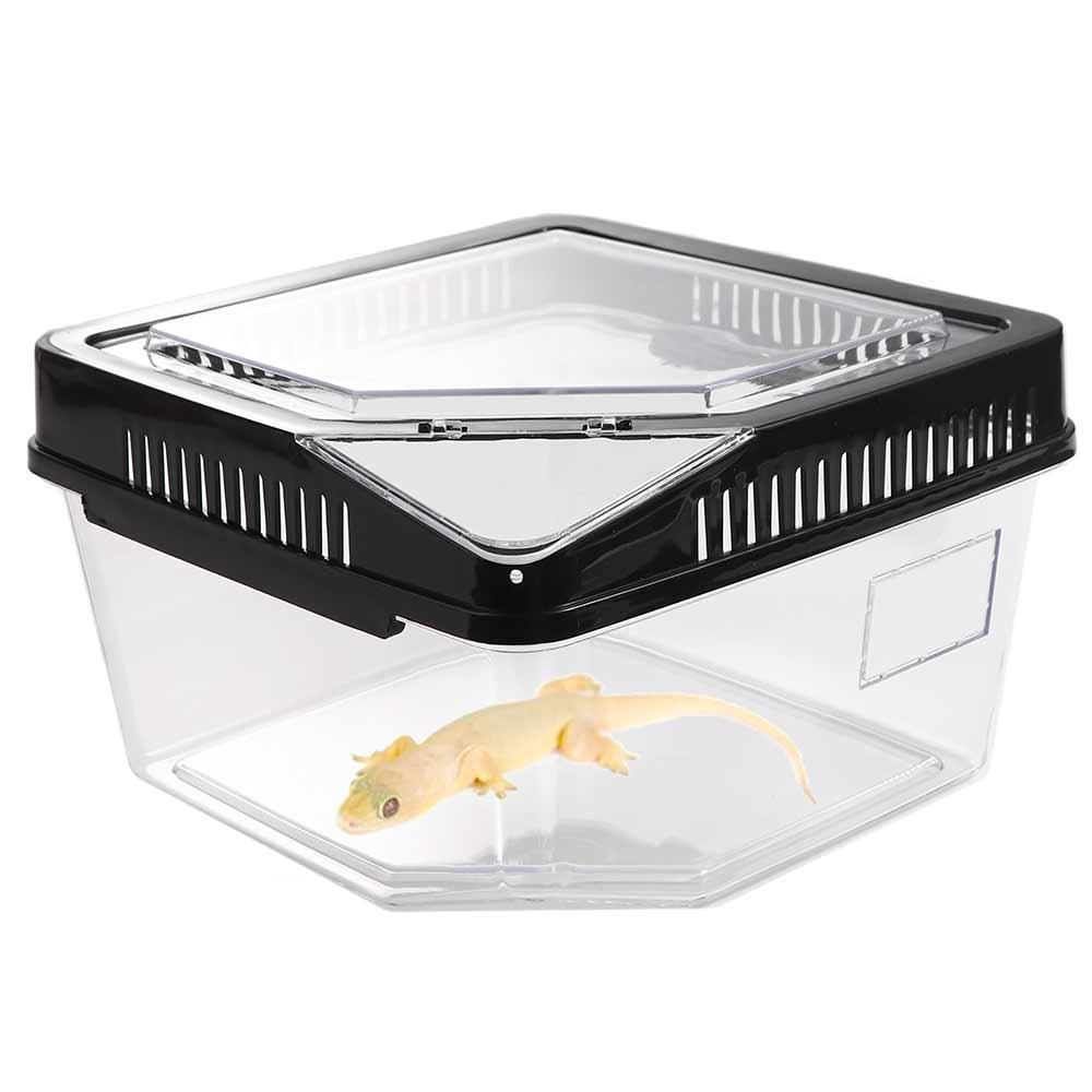 Transparent Plastic Turtle Reptile Carrier Cases Anti-escape Tank Gecko Snail Convenient Habitat Box Tarantulas Pets Supplies