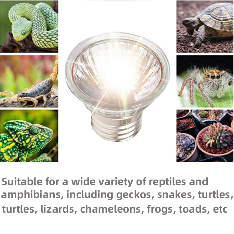 E27 110-220V 25/50/75W Reptile UVA Heat Lamp Pet Heat Lamp Tortoise Lizard Reptile Heater Lamp Emitter Suitable for Pet Bird