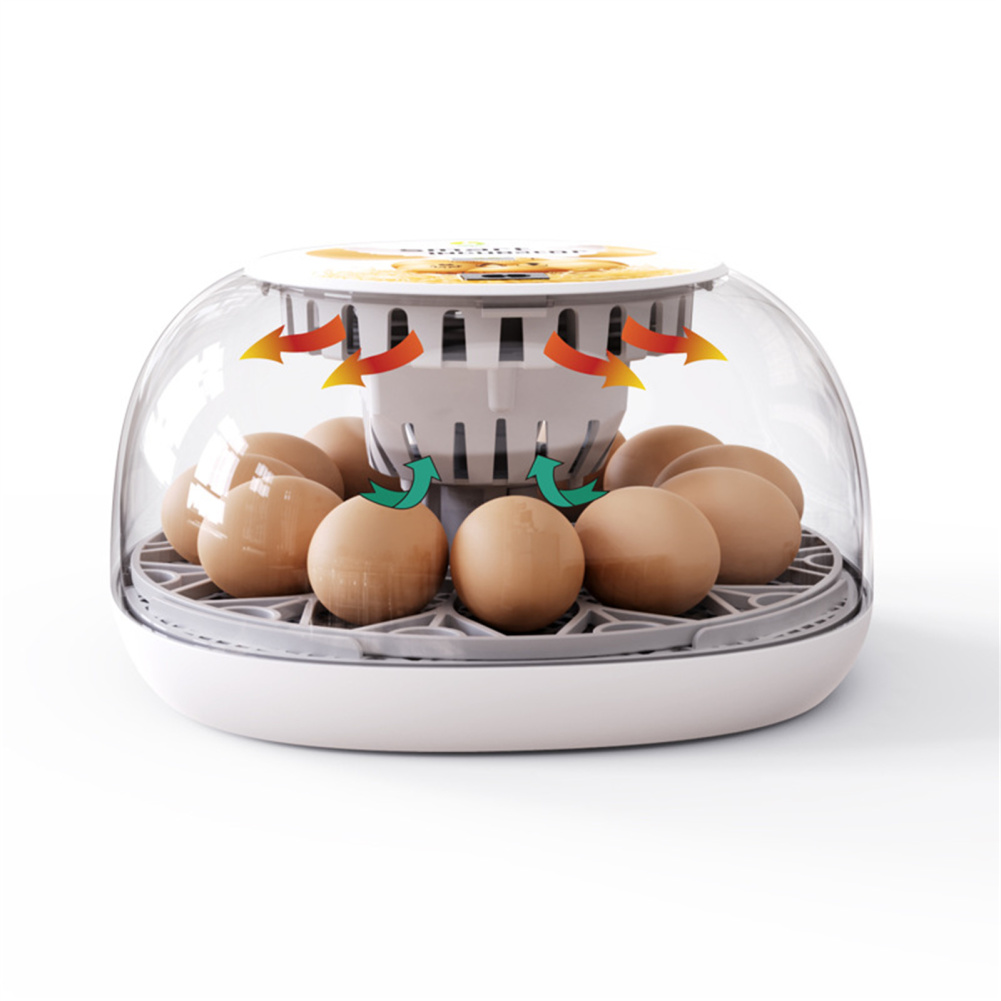 Eggs Incubators For Hatching Eggs With Automatic Turner Automatic Water Top-up Temperature Control Visual Chicken Eggs Incubator