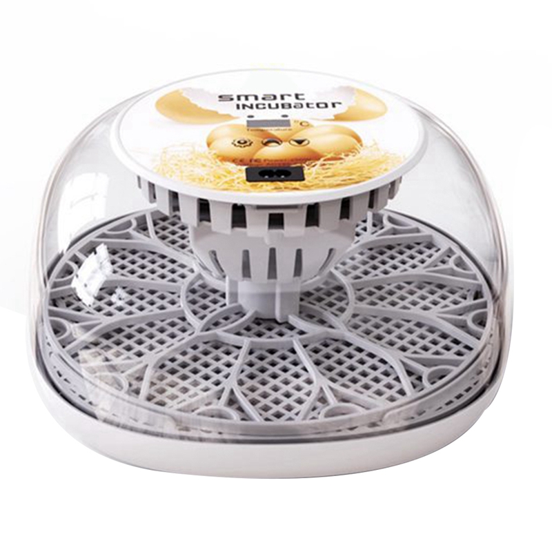 12 Eggs Incubator With Auto Egg-Turning, Auto Water Refill, For Hatching Chicken Pigeon EU Plug