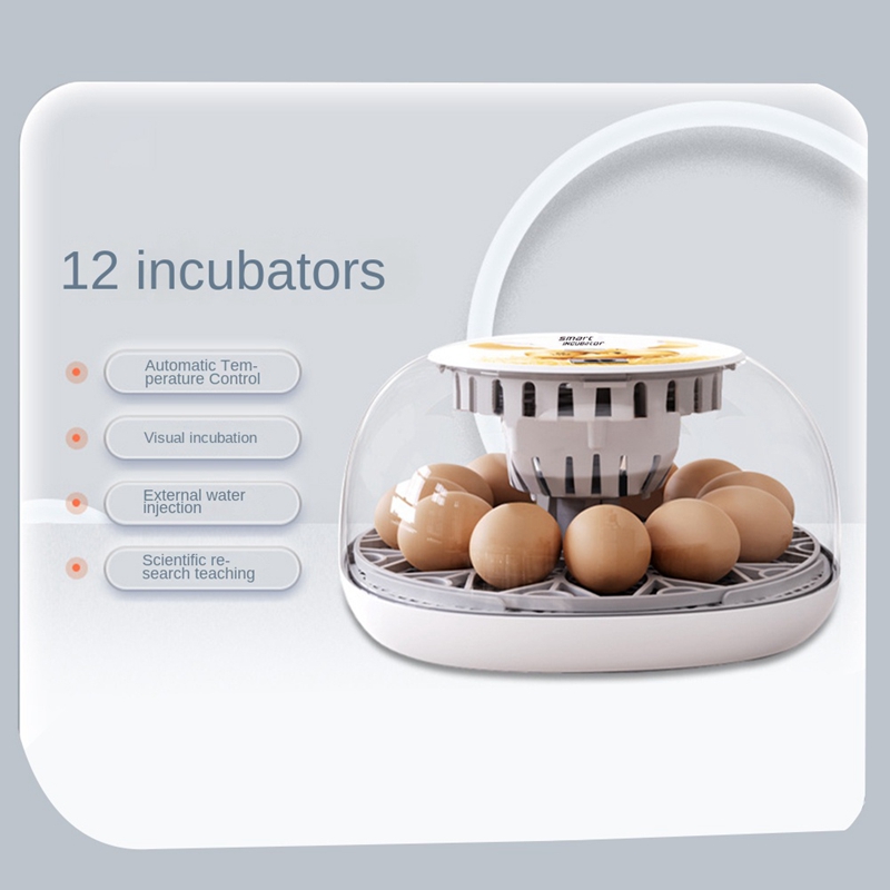 12 Eggs Incubator With Auto Egg-Turning, Auto Water Refill, For Hatching Chicken Pigeon EU Plug