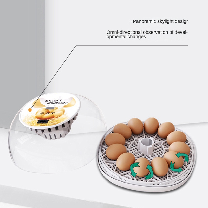 12 Eggs Incubator With Auto Egg-Turning, Auto Water Refill, For Hatching Chicken Pigeon EU Plug