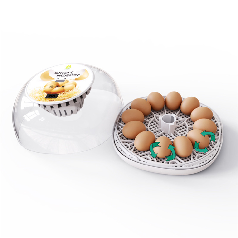 Eggs Incubators For Hatching Eggs With Automatic Turner Automatic Water Top-up Temperature Control Visual Chicken Eggs Incubator